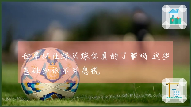 世界杯让球买球你真的了解吗 这些基础知识不可忽视