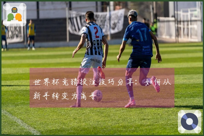 世界杯竞猜投注技巧分享：如何从新手转变为高手