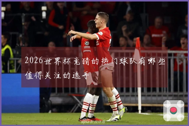 2026世界杯竞猜的热门球队有哪些值得关注的选手