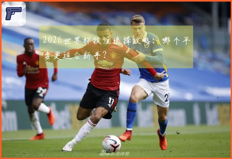 2026世界杯投注选择攻略：哪个平台更适合新手？