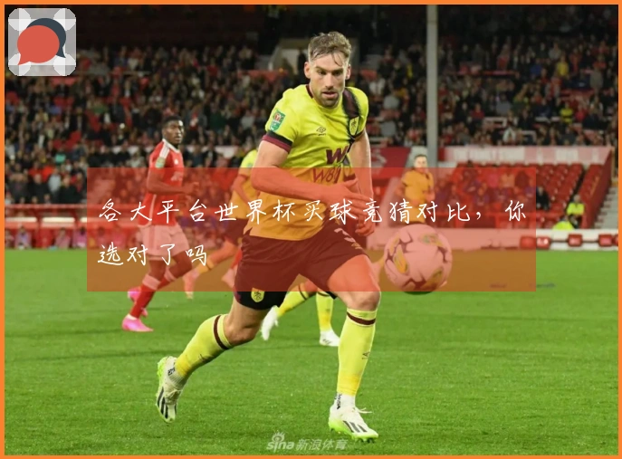 各大平台世界杯买球竞猜对比，你选对了吗