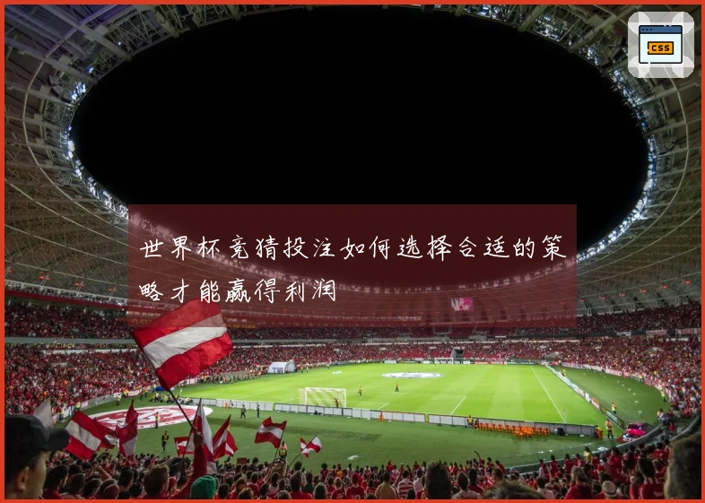 世界杯竞猜投注如何选择合适的策略才能赢得利润