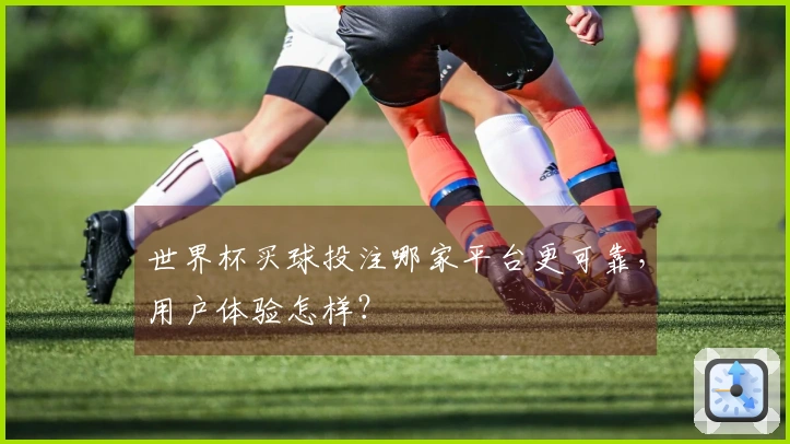 世界杯买球投注哪家平台更可靠，用户体验怎样？