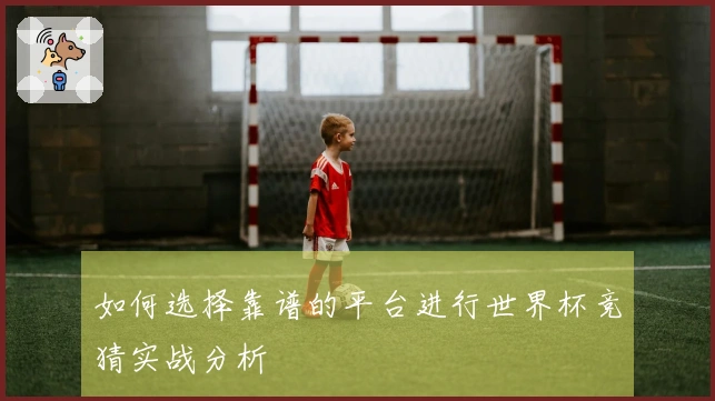如何选择靠谱的平台进行世界杯竞猜实战分析