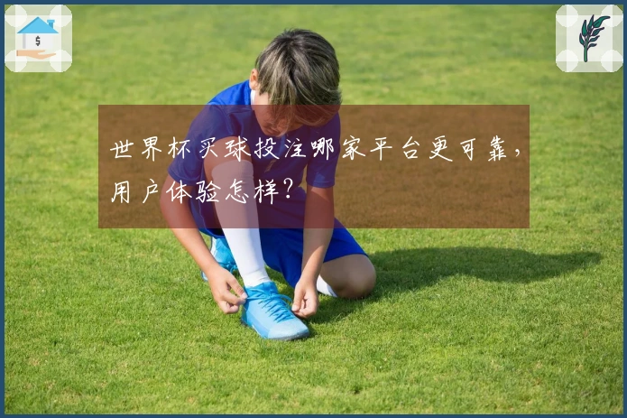 世界杯买球投注哪家平台更可靠，用户体验怎样？