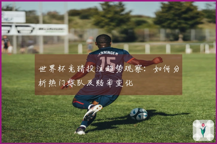 世界杯竞猜投注趋势观察：如何分析热门球队及赔率变化