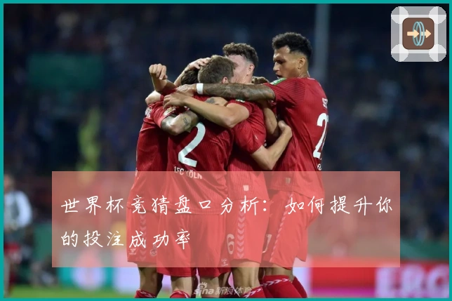 世界杯竞猜盘口分析：如何提升你的投注成功率