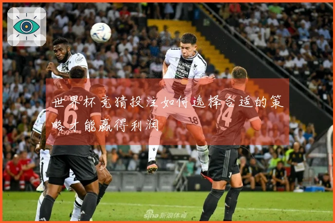 世界杯竞猜投注如何选择合适的策略才能赢得利润